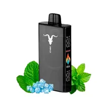 Ignite V250 Black Icy Mint