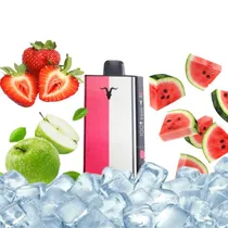  Ignite V400...