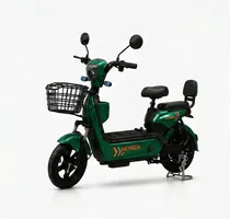 Moto Electrica Hengda 350WATS YQ-JY Verde