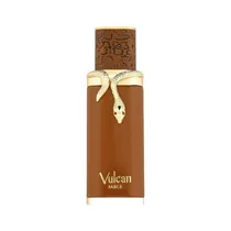 Perfume French Avenue Vulcan Sable Unisex Edp 100ML