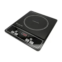 Placa Infrarroja Ecolink EL-F101 - 220V