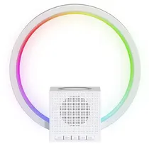  Speaker Ina...