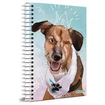  Caderno Uni...