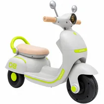 Moto Electri...