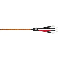  Wireworld C...