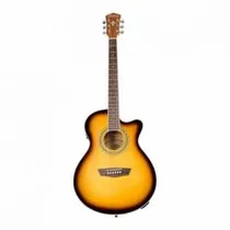  Washburn Vi...