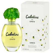  Perfume Fem...