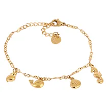  Pulseira Fe...
