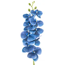  Orquídea Ar...