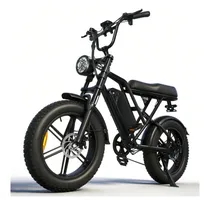 Bicicleta Eléctrica Blulory G60
