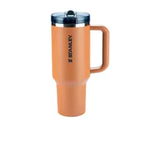 Vaso Stanley...
