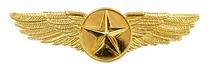 Wings Pilot ...