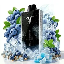  Ignite V80 ...