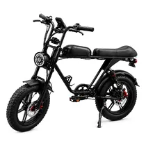  Bicicleta E...