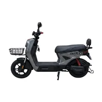 Mini Moto El...