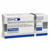  Testosteron...
