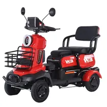 Quadriciclo WB Electric 800W - 32 KM/H