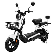  Moto Electr...
