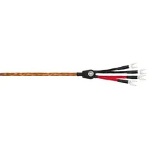 Wireworld C...