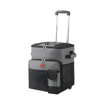  Bolsa Térmi...