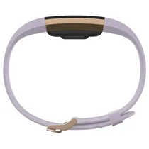  Fitbit Char...