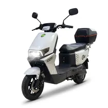 Moto Elétrica Smart Wheel SW-007 1000W 32KM/H Branca