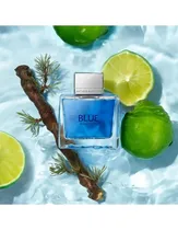  Perfume Ant...