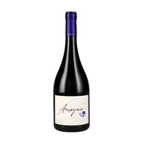 Vino Amayna...