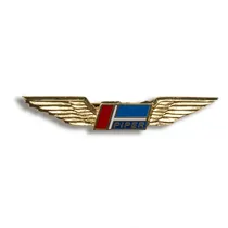  Wings Pin P...