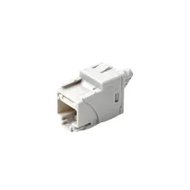 Conector Hembra Jack RJ45 Umax CAT6 Utp Blanco