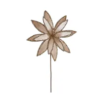  Flor Navide...