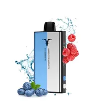  Ignite V400...