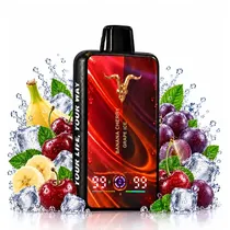 Ignite V400 ...