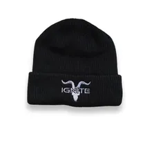  Ignite Gorr...