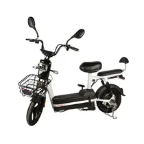  Moto Electr...