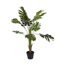  Planta Arti...