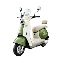 Moto Electri...