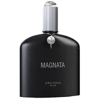 PL Zirconia Prive Magnata Eau de Parfum Masculino 100ML Perfume Via Brasil