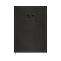 Agenda Ejecu...