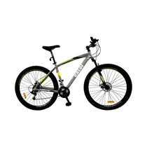  Bicicleta C...