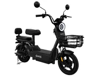  Bicicleta E...