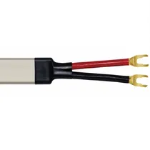  Wireworld C...
