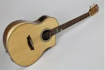  Washburn Vi...
