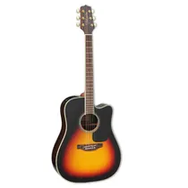  Takamine GD...