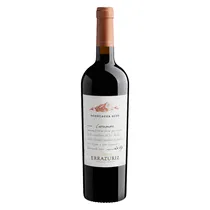  Errazuriz A...
