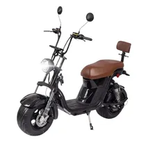  Scooter Tri...