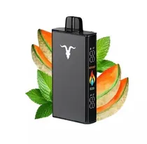 Ignite V250 Black Minty Melon