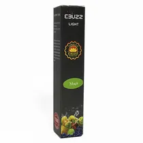  Ebuzz e-Car...
