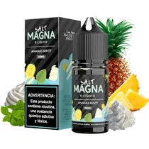 Magna 30ML Salt Ananas Minty 35MG