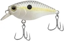  Isca Mini C...